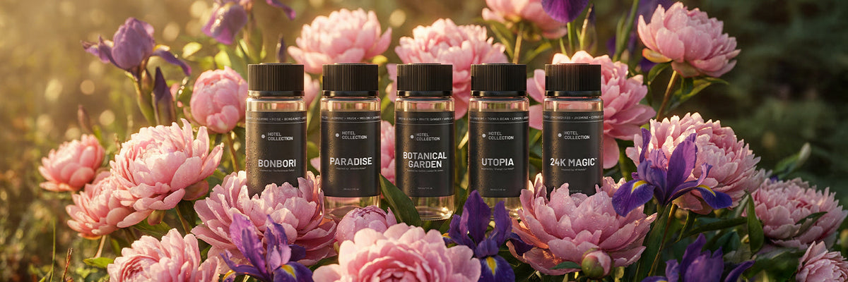 Spring Scents: Best Home Fragrances for the Season